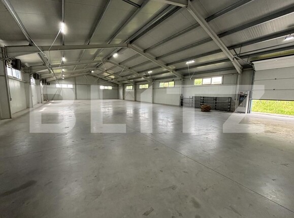 Spațiu industrial de închiriat Aghires - 169914SII | BLITZ Zalău | Poza3
