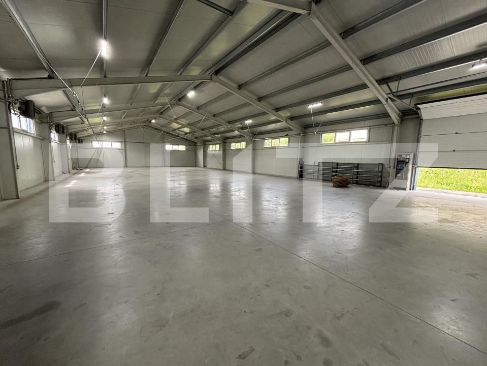 Spațiu industrial de închiriat Aghires - 169914SII | BLITZ Zalău | Poza3