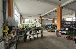 Spatiu comercial de vanzare, 330 mp, Zalau