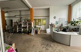 Spatiu comercial de vanzare, 330 mp, Zalau