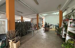 Spatiu comercial de vanzare, 330 mp, Zalau