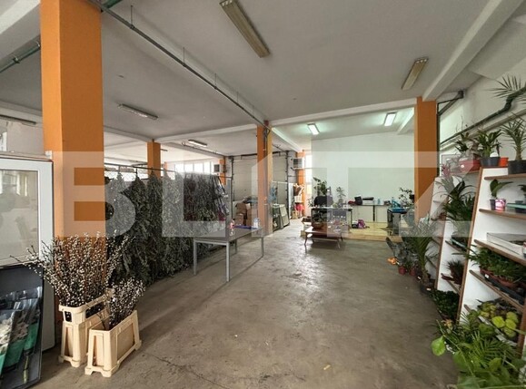 Spațiu comercial de vânzare Exterior-Sud - 170109SVC | BLITZ Zalău | Poza3