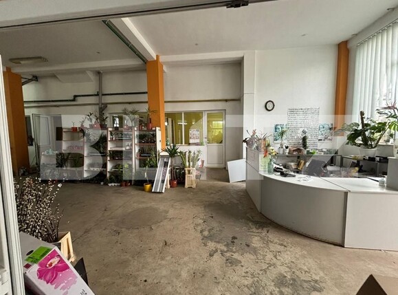 Spațiu comercial de vânzare Exterior-Sud - 170109SVC | BLITZ Zalău | Poza1