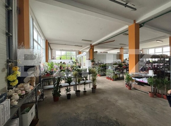 Spațiu comercial de vânzare Exterior-Sud - 170109SVC | BLITZ Zalău | Poza2