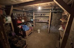 Casa de vanzare, cu 1100mp de teren