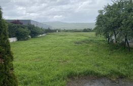 Teren intravilan/extravilan de vanzare, in suprafata de 3000 mp, Zalau