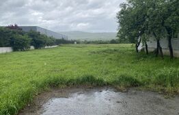 Teren intravilan/extravilan de vanzare, in suprafata de 3000 mp, Zalau