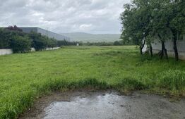 Teren intravilan/extravilan de vanzare, in suprafata de 3000 mp, Zalau