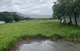 Teren intravilan/extravilan de vanzare, in suprafata de 3000 mp, Zalau