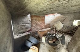 Casa de vanzare la rosu cu 10 ari de teren