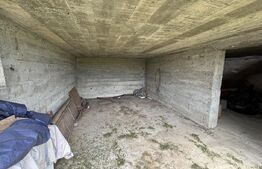 Casa de vanzare la rosu cu 10 ari de teren