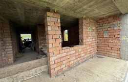 Casa de vanzare la rosu cu 10 ari de teren