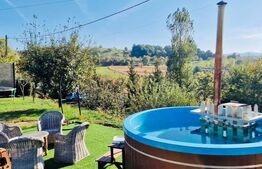 Casa de vanzare cu piscina