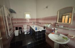 Casa de vanzare, zona centrala