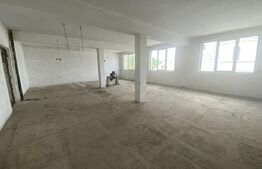 Spațiu comercial de vânzare Sărmășag - 155535SVC | BLITZ Zalău | Poza1