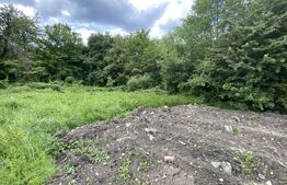 Teren Intravilan , de vanzare, 1125 mp, zona Coada Lacului