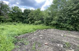 Teren Intravilan , de vanzare, 1125 mp, zona Coada Lacului