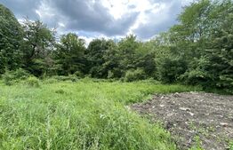 Teren Intravilan , de vanzare, 1125 mp, zona Coada Lacului