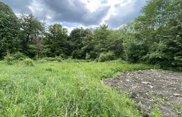 Teren Intravilan , de vanzare, 1125 mp, zona Coada Lacului