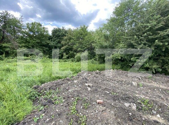 Teren de vânzare Exterior-Sud - 171271TV | BLITZ Zalău | Poza2