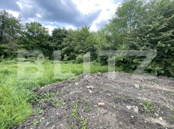 Teren de vânzare Exterior-Sud - 171271TV | BLITZ Zalău | Poza1