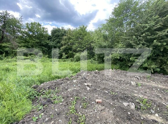 Teren de vânzare Exterior-Sud - 171271TV | BLITZ Zalău | Poza3