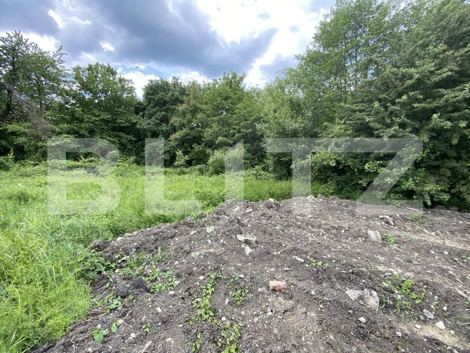 Teren de vânzare Exterior-Sud - 171271TV | BLITZ Zalău | Poza2