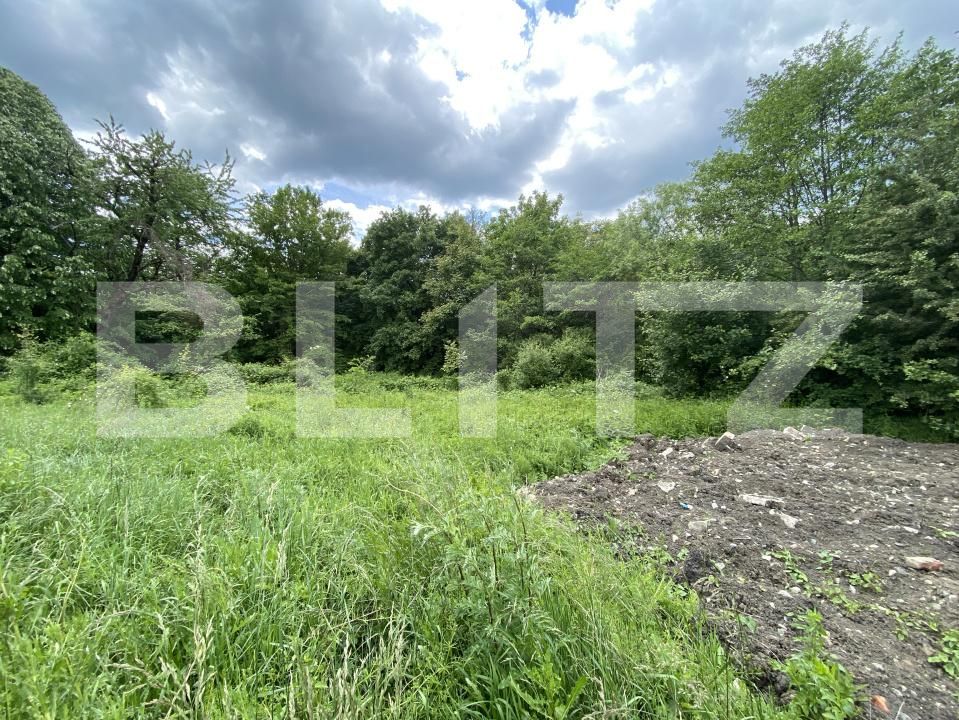 Teren de vânzare Exterior-Sud - 171271TV | BLITZ Zalău | Poza4