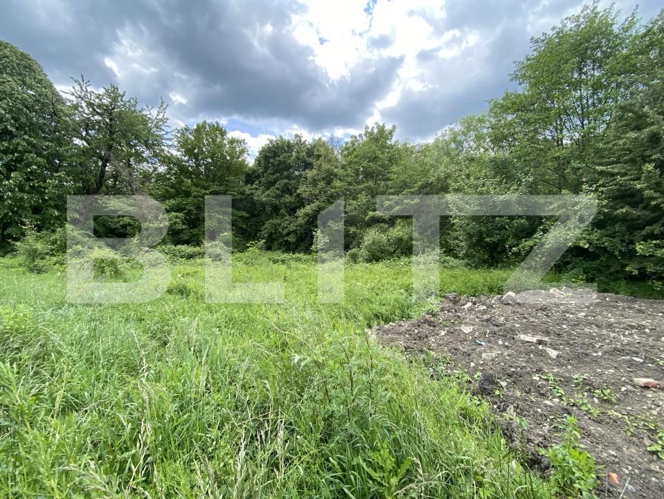 Teren de vânzare Exterior-Sud - 171271TV | BLITZ Zalău | Poza6