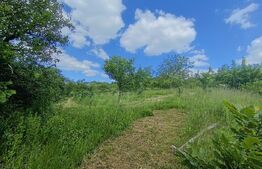 Casa de vanzare, cu 4 camere, 171 mp, zona exterior nord