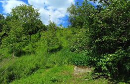 Casa de vanzare, cu 4 camere, 171 mp, zona exterior nord