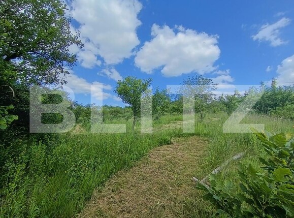 Casa de vânzare 4 camere Mesesenii de Sus - 171373CV | BLITZ Zalău | Poza10