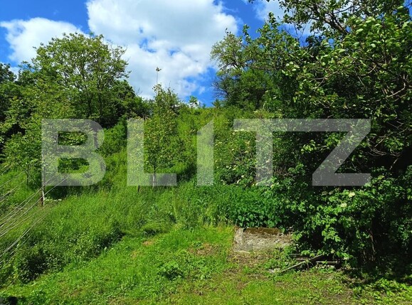 Casa de vânzare 4 camere Mesesenii de Sus - 171373CV | BLITZ Zalău | Poza17