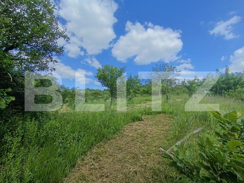 Casa de vânzare 4 camere Mesesenii de Sus - 171373CV | BLITZ Zalău | Poza4