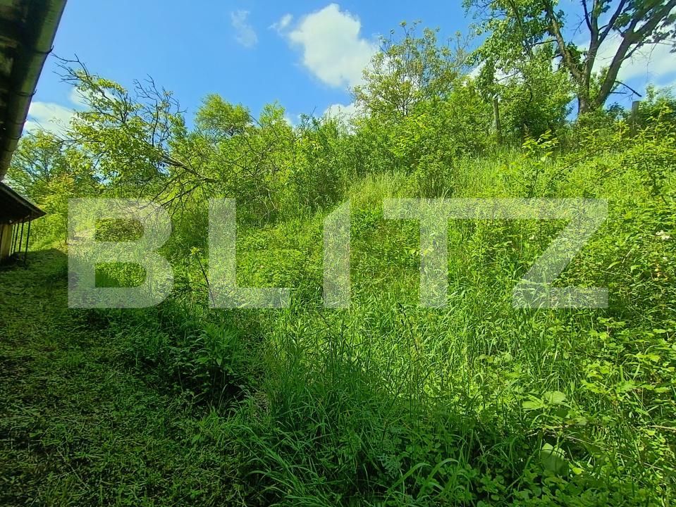Casa de vânzare 4 camere Mesesenii de Sus - 171373CV | BLITZ Zalău | Poza7