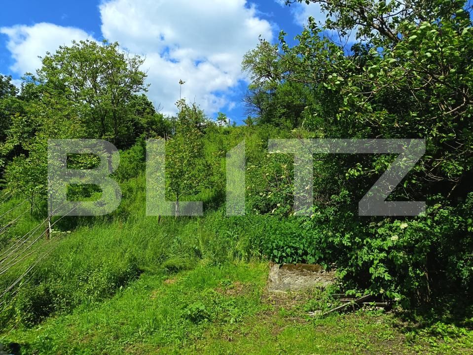 Casa de vânzare 4 camere Mesesenii de Sus - 171373CV | BLITZ Zalău | Poza11