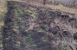 Teren zonă frumoasă 