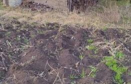 Teren zonă frumoasă 