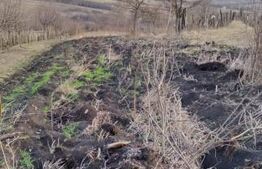 Teren zonă frumoasă 