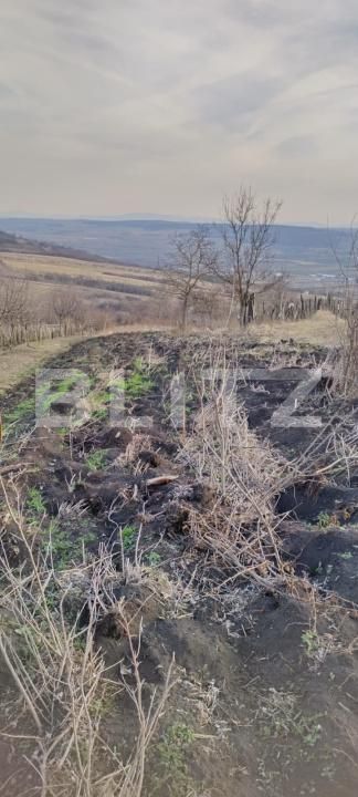 Teren de vânzare Sărmășag - 171469TV | BLITZ Zalău | Poza2
