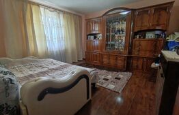 Casa de vanzare, cu 4 camere, 300 mp, zona exterior sud