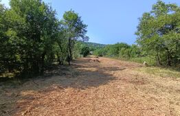 Casa cu 2 camere, 250 mp, zona sud-est