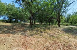 Casa cu 2 camere, 250 mp, zona sud-est