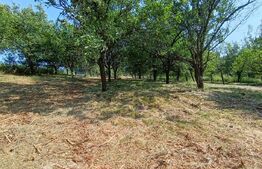 Casa cu 2 camere, 250 mp, zona sud-est