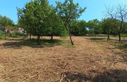 Casa cu 2 camere, 250 mp, zona sud-est