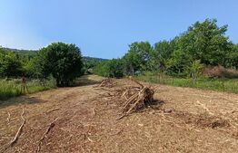 Casa cu 2 camere, 250 mp, zona sud-est