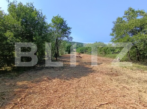 Casa de vânzare 2 camere Aghires - 171864CV | BLITZ Zalău | Poza13