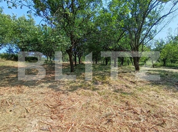 Casa de vânzare 2 camere Aghires - 171864CV | BLITZ Zalău | Poza16