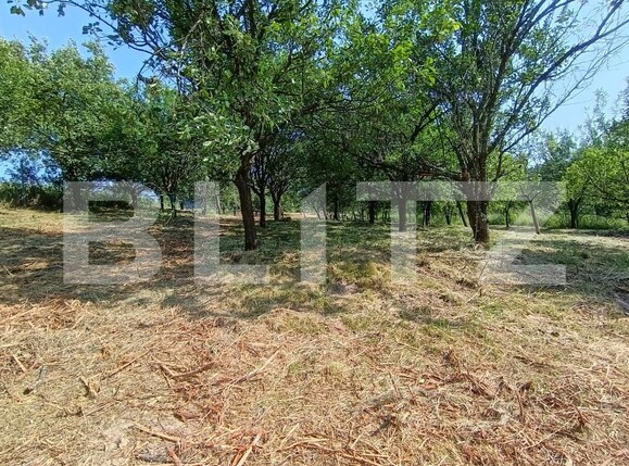 Casa de vânzare 2 camere Aghires - 171864CV | BLITZ Zalău | Poza17