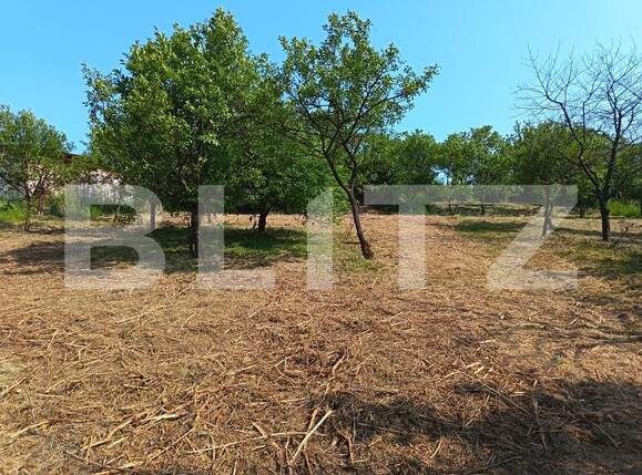 Casa de vânzare 2 camere Aghires - 171864CV | BLITZ Zalău | Poza18